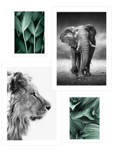 Green Beauty Poster Seti